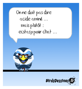 Si les chats s'y mettent aussi ... alors ...