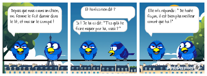 ☺ Quelle vie de chien ☺☺