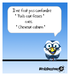 Une blague au poil ...