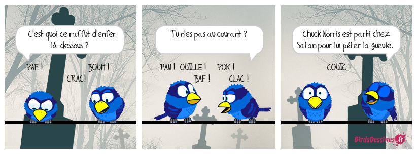 Sky Walker Texas Ranger