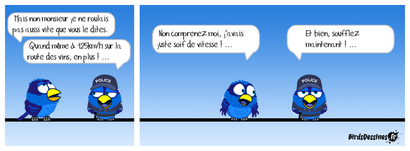 les excès de vitesse, ça me saoule ...