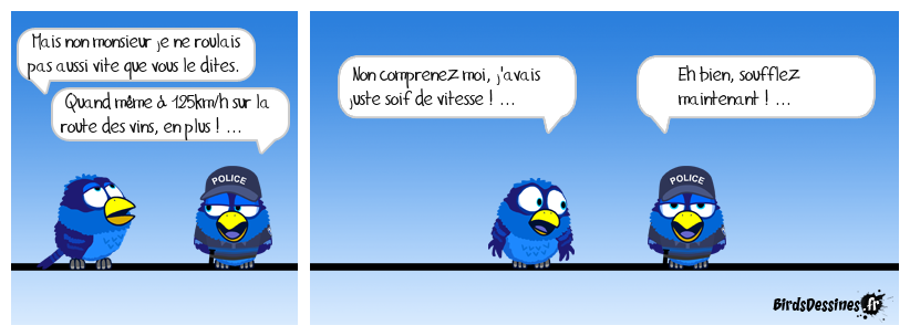 les excès de vitesse, ça me saoule ...