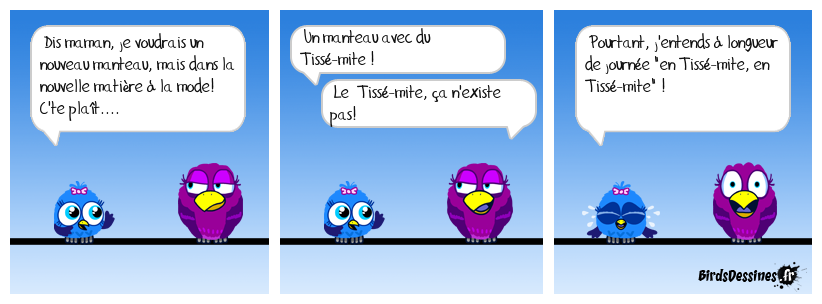 Il a des trous, celui-là !