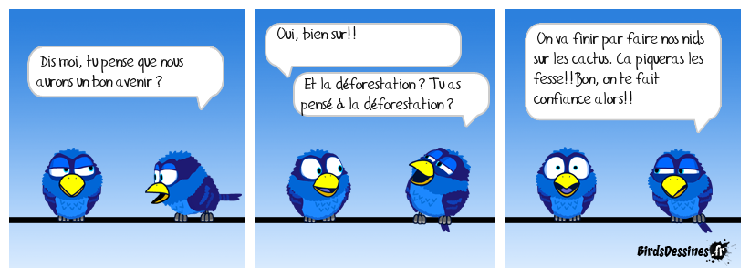 L'optimiste...