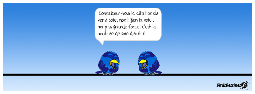 Soie dit en passant !