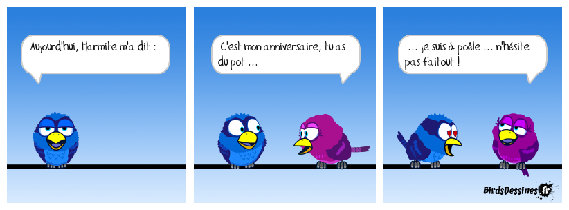 Minute cocotte ...  et tu passes à la casserole !