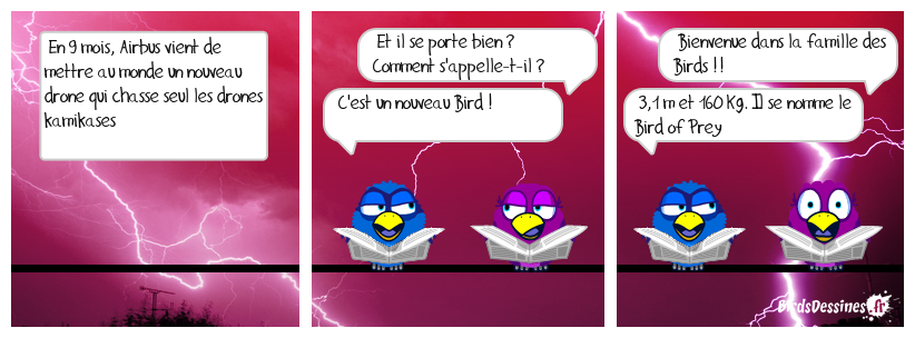 Re-Bienvenue au petit Birdy