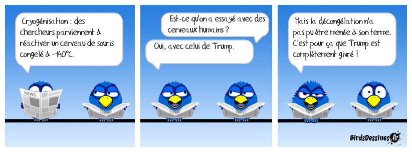 Tout s'explique ! 🥶