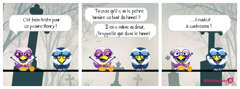 l'expérience de mort imminente