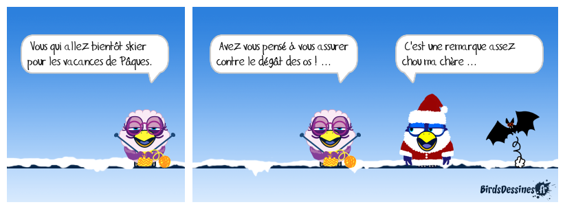 ne soyez pas un con skiant !...