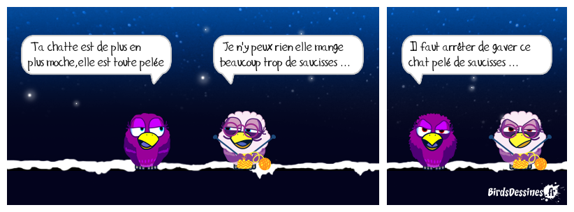 un chat ça courre ! ...