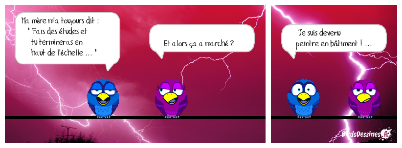 Il aurait pu aussi terminer au barreau ...