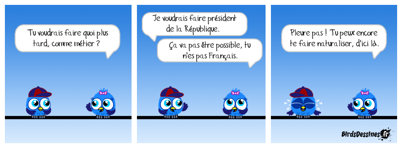 La jeunesse du Bird empaillé