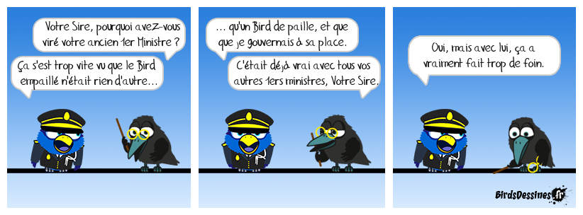 Le Bird empaillé chaume