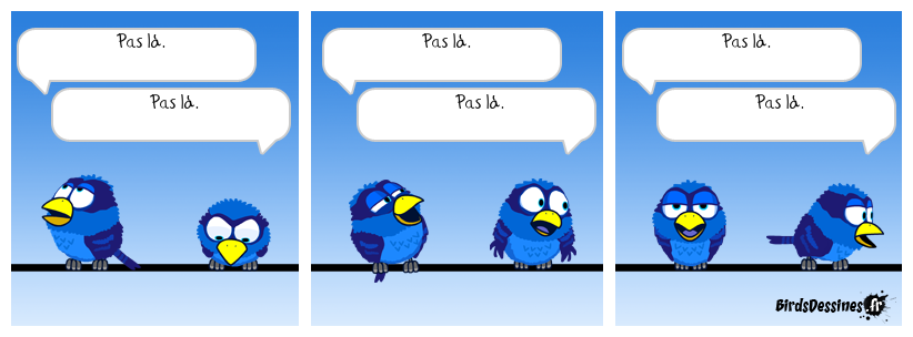 Mais où est donc passé le Bird empaillé ?