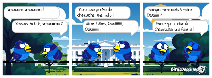 ☺ Les rêves de chevauchée ☺☺