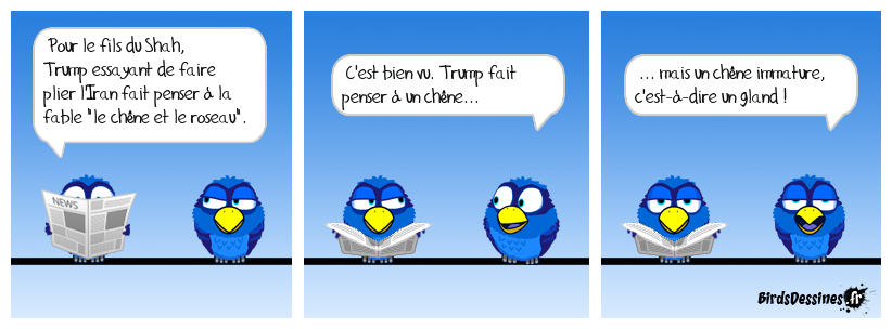 La guerre en Iran, vue par Reza de La Fontaine