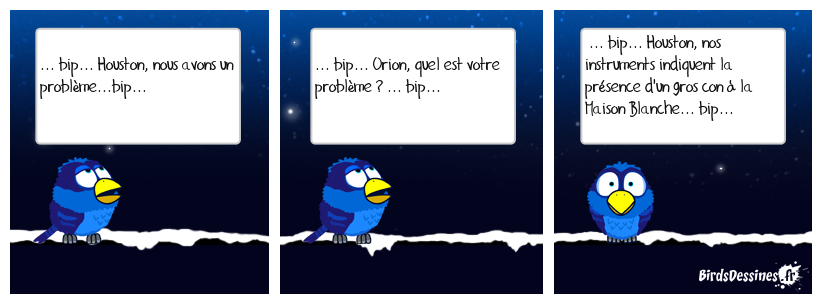 Cette nuit, vivez la rentrée d'Orion en direct sur BirdsDessines.fr