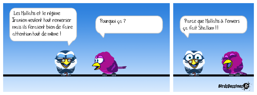 L'envers des Mollahs