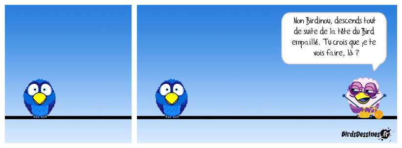 La folle jeunesse du Bird invisible