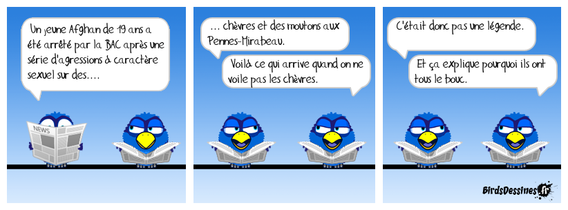 Il va falloir planquer les chiens et les chats !