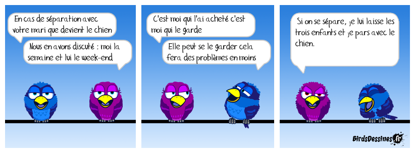 Et si une loi encadrait la garde des animaux de compagnie en cas de séparation ?