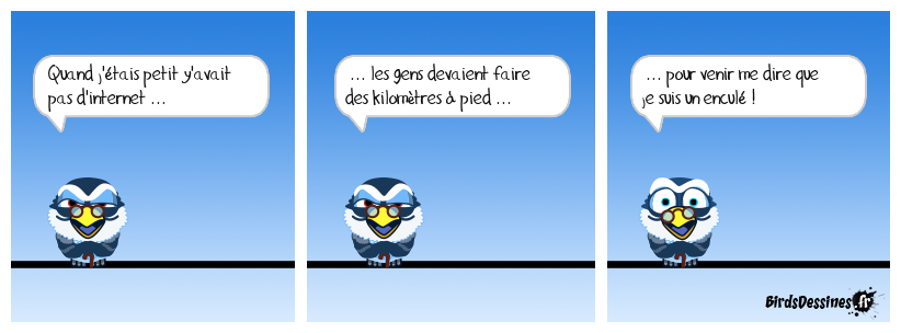 Sans internet ,pas de birdsdessinés