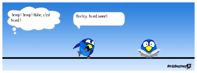 Petite connerie du soir