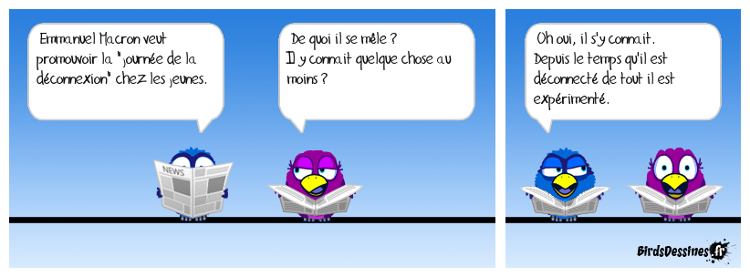 De quoi me mêle-je ?