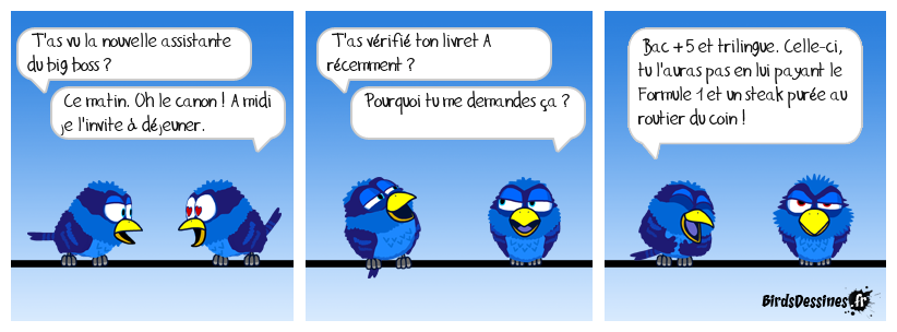 Ne pas rêver au-dessus de ses moyens !