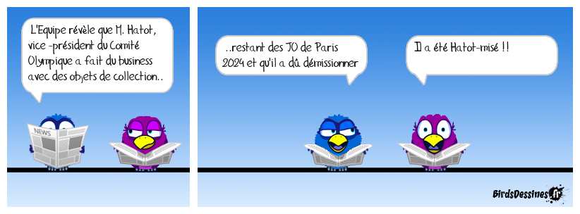 Un vice-président du CNOSF atomisé !