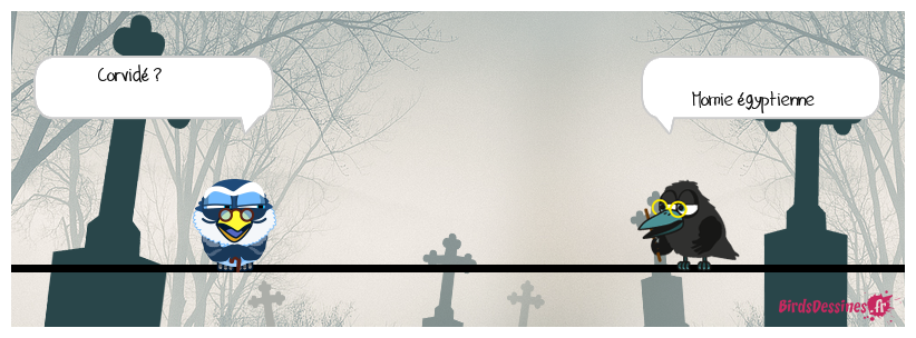 Définition Titounesque (spéciale autopsie)