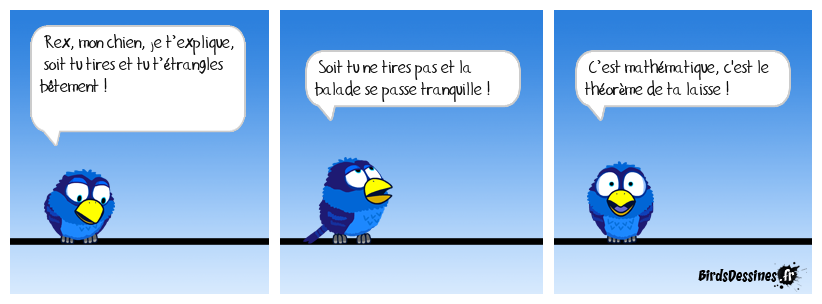 Le dressage c’est mathématique !