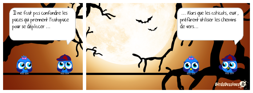 un dernier ver pour la route ...