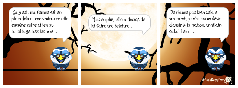 jappe ... récit ...