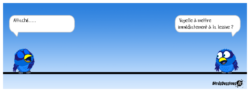 Ariel, de préférence ?