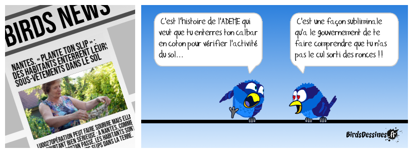 On n'a pas le cul sorti des ronces !