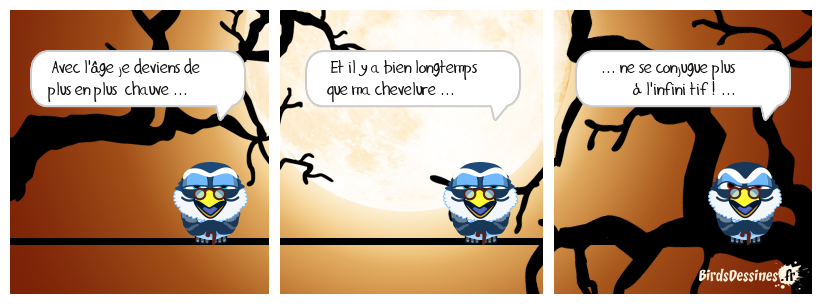 ce n'est pas fautif de porter une perruque !