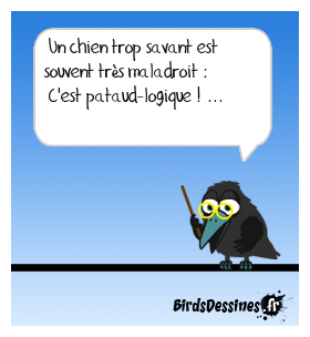 Un cas nain pour les Chihuahuas ...