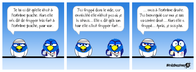 Arts martiaux politiques