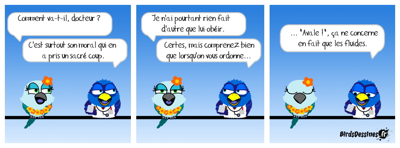 Fallait le dire !