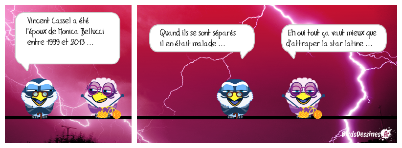 Quand elle se casse ... elle ...