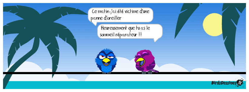 Panne d'oreiller...