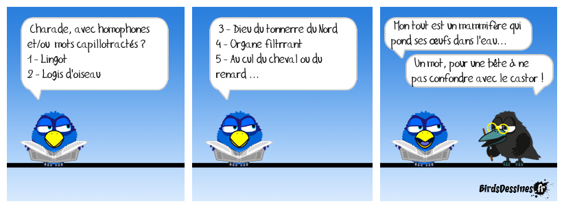 Devinette du jour