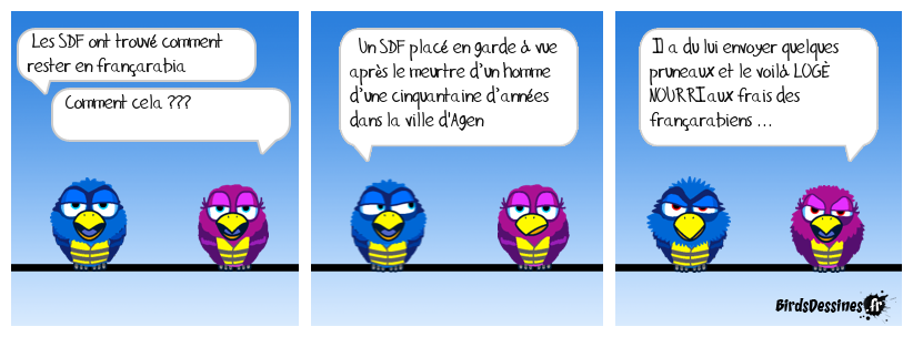 ALORS ... elle est pas un peu belle la vie en françarabia ???