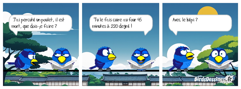 ☺ Il y a poulet et poulet ☺☺