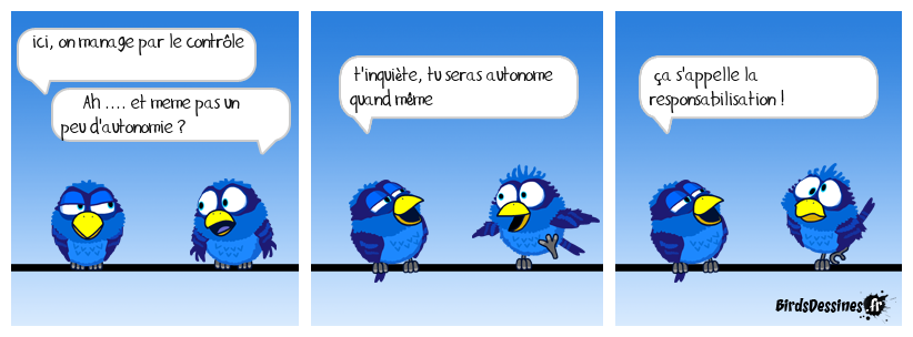 la responsabilisation