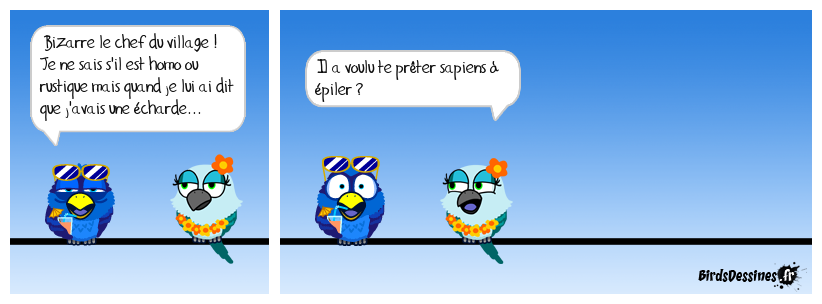 Sapiens à épiler !