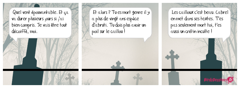 Les cailloux