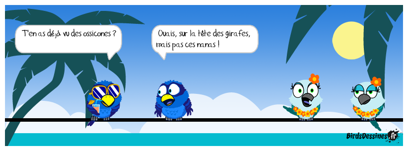 Titounesque zoologique, mais pas gynécologique